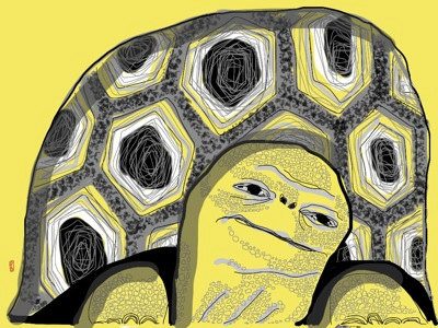Turtles and the truths they teach us Turtles and the truths they teach us