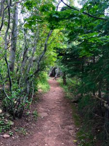 Trees, Lucy Maud Montgomery