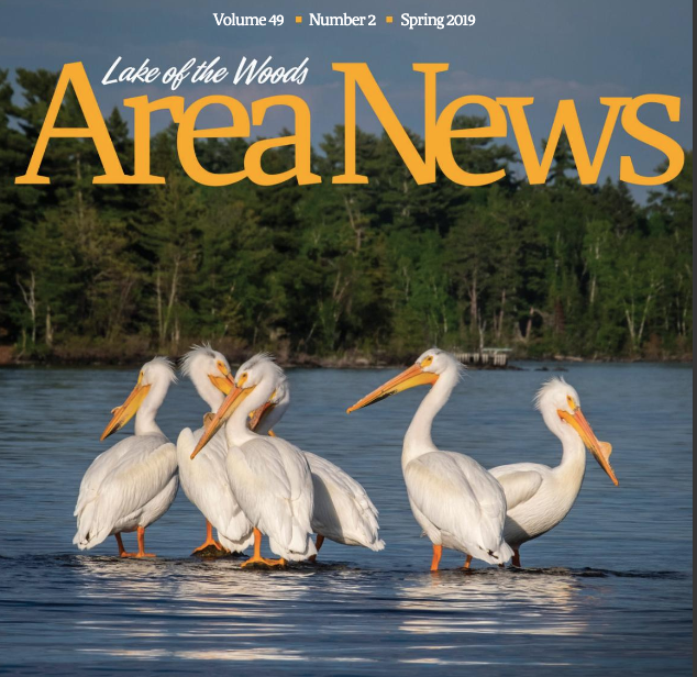 Lake of the Woods Area news, spring issue