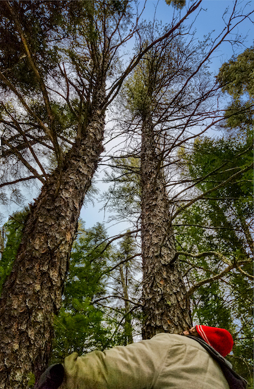 Leanne Fournier in nature