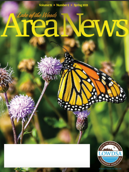 LOW Area News magazine cover with a butterfly