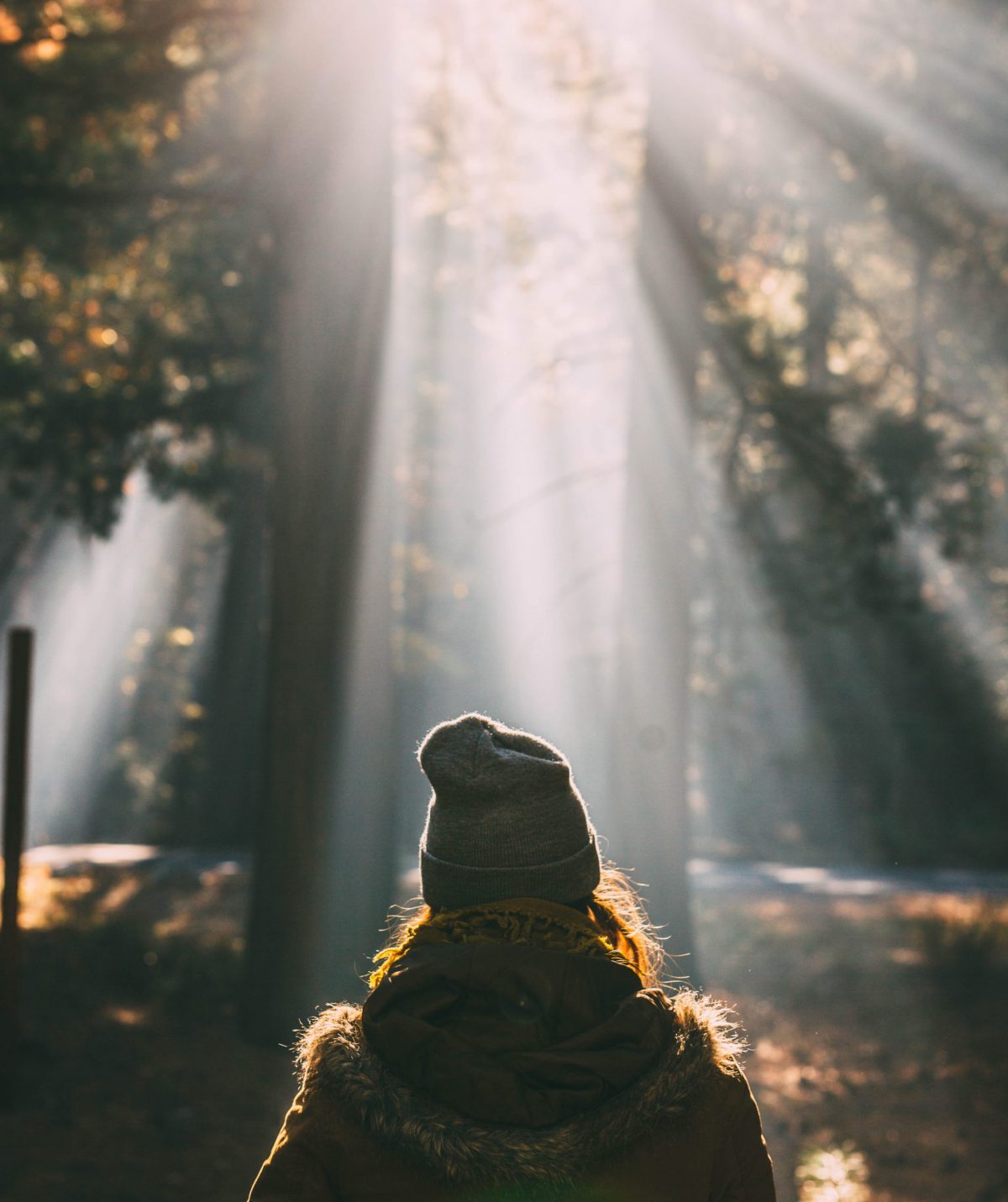 Hopeful image of person in sunlight.