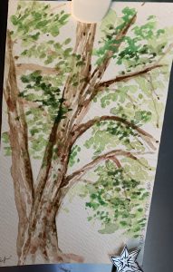 sketch of a balsam tree